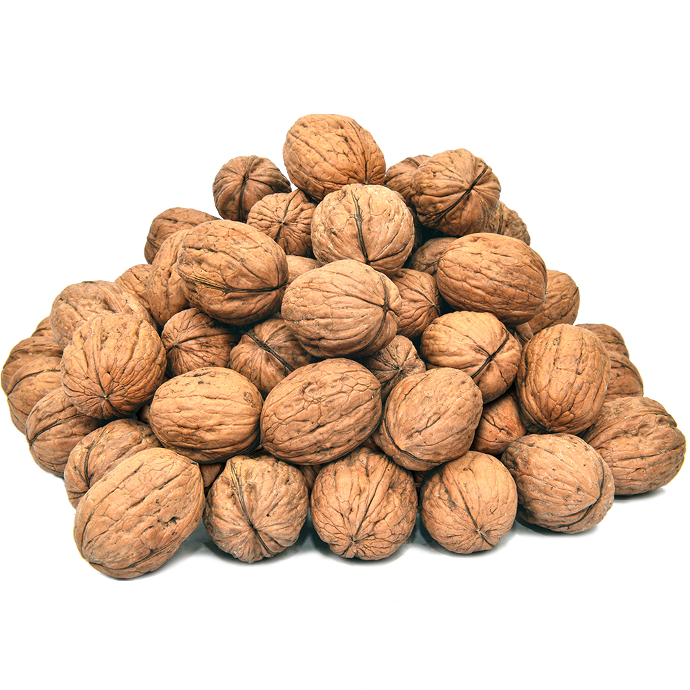 Akhrot Sabat (Walnut in Shell)