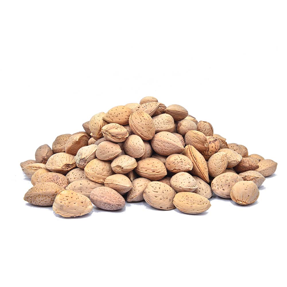 Badam Katha (Almond In Shell)