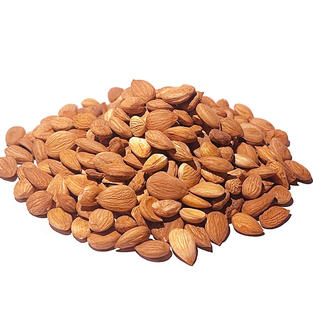 Khasta (Apricot Kernal)